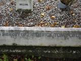 image of grave number 949562